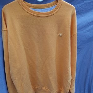 Champion sweatshirt